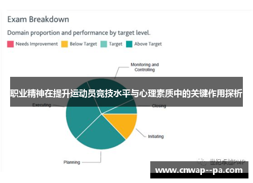 职业精神在提升运动员竞技水平与心理素质中的关键作用探析