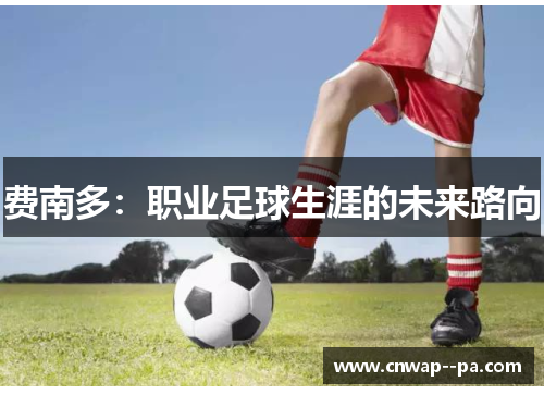 费南多:职业足球生涯的未来路向 费南多:职业足球生涯的未来路向