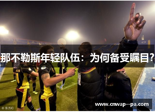 那不勒斯年轻队伍:为何备受瞩目? 那不勒斯年轻队伍:为何备受瞩目?