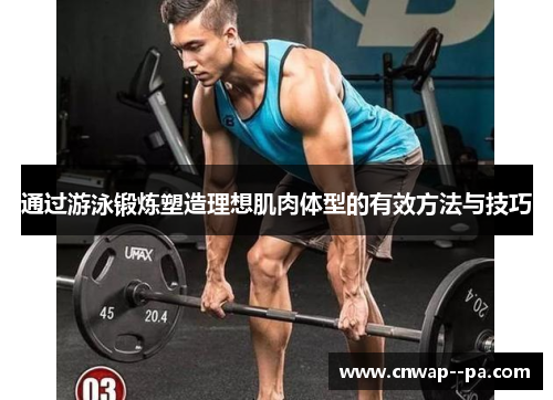通过游泳锻炼塑造理想肌肉体型的有效方法与技巧 通过游泳锻炼塑造理想肌肉体型的有效方法与技巧
