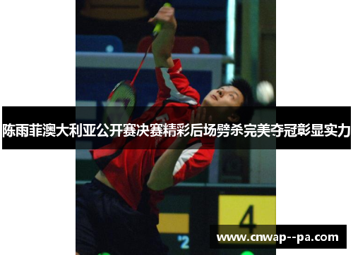 陈雨菲澳大利亚公开赛决赛精彩后场劈杀完美夺冠彰显实力 陈雨菲澳大利亚公开赛决赛精彩后场劈杀完美夺冠彰显实力