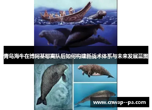 青岛海牛在博阿基耶离队后如何构建新战术体系与未来发展蓝图