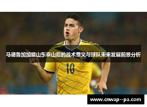 马德鲁加加盟山东泰山后的战术意义与球队未来发展前景分析